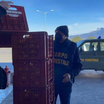 Corpo forestale, donati alla Caritas 950 chili di arance sequestrate
