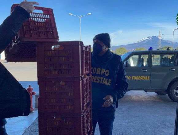 Corpo forestale, donati alla Caritas 950 chili di arance sequestrate Corpo forestale, donati alla Caritas 950 chili di arance sequestrate
