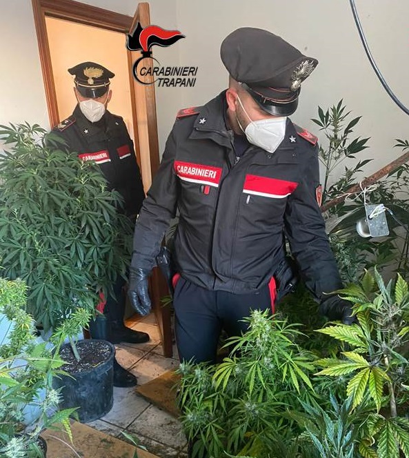 Marsala. Blitz dei Carabinieri in un appartamento: rinvenuta una serra indoor e oltre 400 gr di marijuana. Due arresti