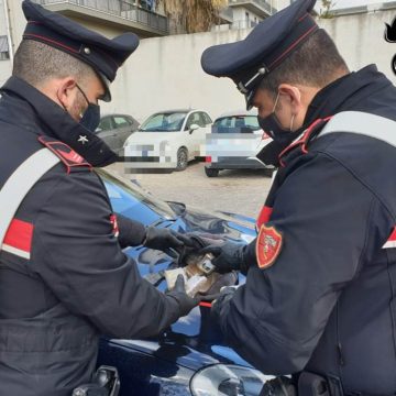 Mazara del Vallo: droga sotto terra, arrestato dai Carabinieri con le mani nel sacco Vito “Puci”