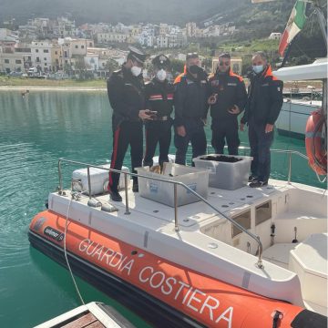 Castellammare del Golfo. Circa 1000 ricci di mare pescati illegalmente: Carabinieri e Capitaneria di Porto li recuperano rigettandoli in mare