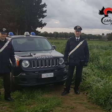 Misiliscemi. Abusivismo in zona a vincolo sismico e indebita percezione di reddito di cittadinanza scoperti dai Carabinieri: denunciati i presunti responsabili