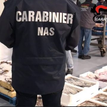 Sequestro di alimenti in una azienda conserviera di Trapani