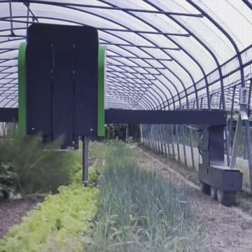 Intelligenza artificiale: in Sicilia le aziende agricole punteranno su tecnologia “Hortobot”