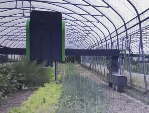 Intelligenza artificiale: in Sicilia le aziende agricole punteranno su tecnologia “Hortobot” Intelligenza artificiale: in Sicilia le aziende agricole punteranno su tecnologia “Hortobot”