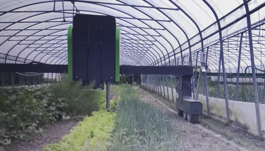 Intelligenza artificiale: in Sicilia le aziende agricole punteranno su tecnologia “Hortobot”