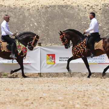 Oggi alle 17.30 parte la 4° Fiera Mediterranea del cavallo