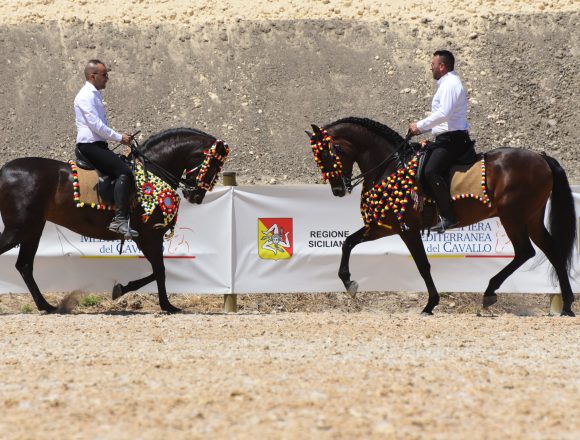 Oggi alle 17.30 parte la 4° Fiera Mediterranea del cavallo Oggi alle 17.30 parte la 4° Fiera Mediterranea del cavallo