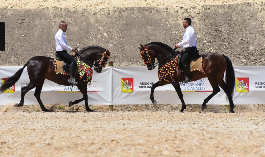 Oggi alle 17.30 parte la 4° Fiera Mediterranea del cavallo