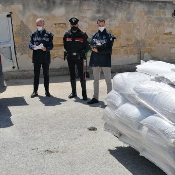 Donazione in beneficenza di alimenti sequestrati dai Carabinieri