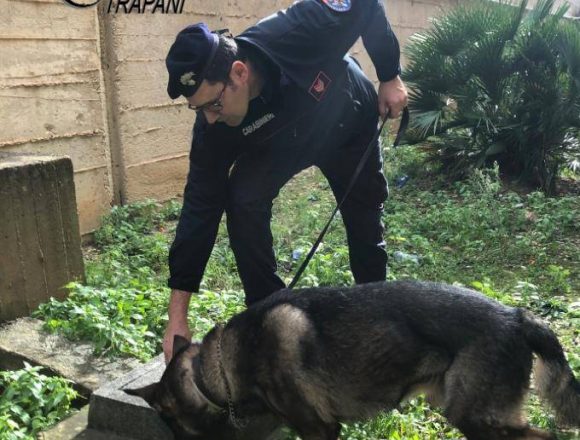 Trapani. Controlli del territorio dei Carabinieri: arrestato un 35enne per spaccio. Altre 3 persone denunciate