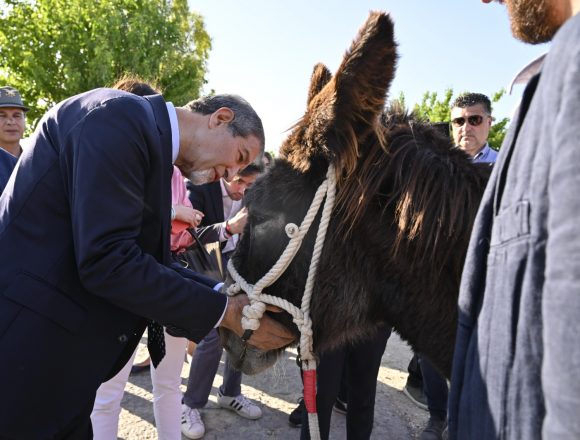 Un successo ad Ambelia la quarta “Fiera mediterranea del cavallo” a ritmo di flamenco. Il 28 e il 29 l’iniziative si sposterà all’ippodromo della Favorita a Palermo. Grande soddisfazione del governatore Musumeci Un successo ad Ambelia la quarta “Fiera mediterranea del cavallo” a ritmo di flamenco. Il 28 e il 29 l’iniziative si sposterà all’ippodromo della Favorita a Palermo. Grande soddisfazione del governatore Musumeci