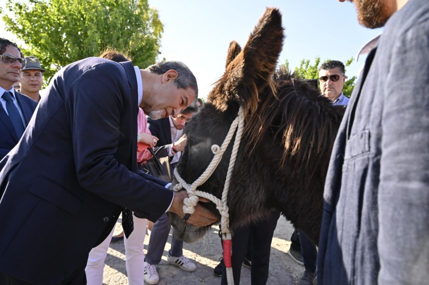 Un successo ad Ambelia la quarta “Fiera mediterranea del cavallo” a ritmo di flamenco. Il 28 e il 29 l’iniziative si sposterà all’ippodromo della Favorita a Palermo. Grande soddisfazione del governatore Musumeci