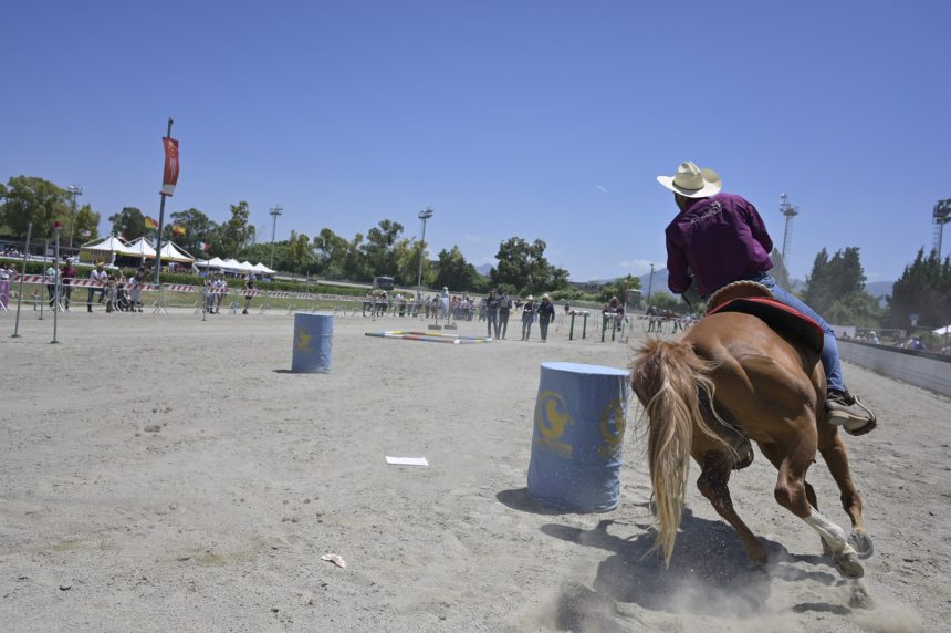 Numeri da record per la 4° edizione di Fiera Mediterranea del Cavallo all’Ippodromo La Favorita di Palermo