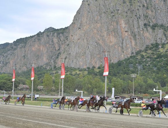 Inaugurata oggi la seconda tappa della Fiera Mediterranea del Cavallo all’ippodromo Favorita di Palermo Inaugurata oggi la seconda tappa della Fiera Mediterranea del Cavallo all’ippodromo Favorita di Palermo