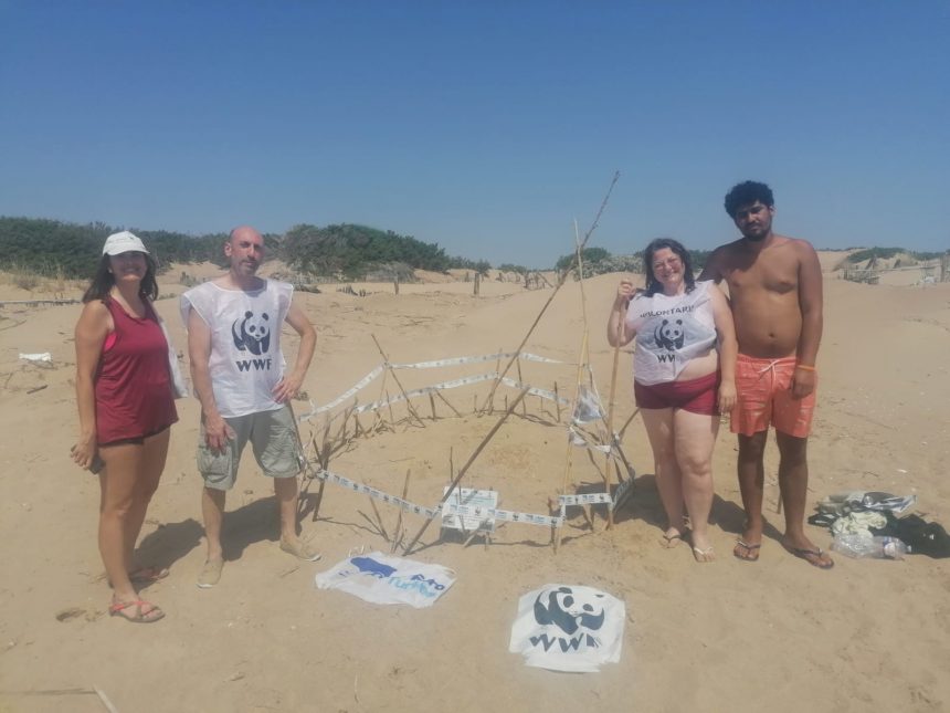 Meravigliosa scoperta! Trovato nido di Caretta caretta nel ragusano