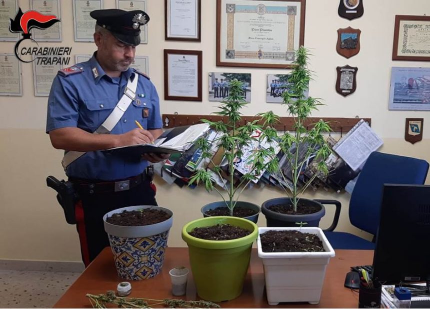 Misiliscemi, coltivazione di marijuana. Denunciato un 52enne