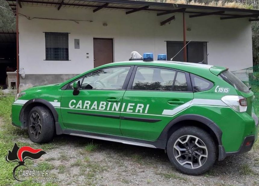 Denunciato imprenditore edile per  gestione illecita di rifiuti speciali a Pantelleria