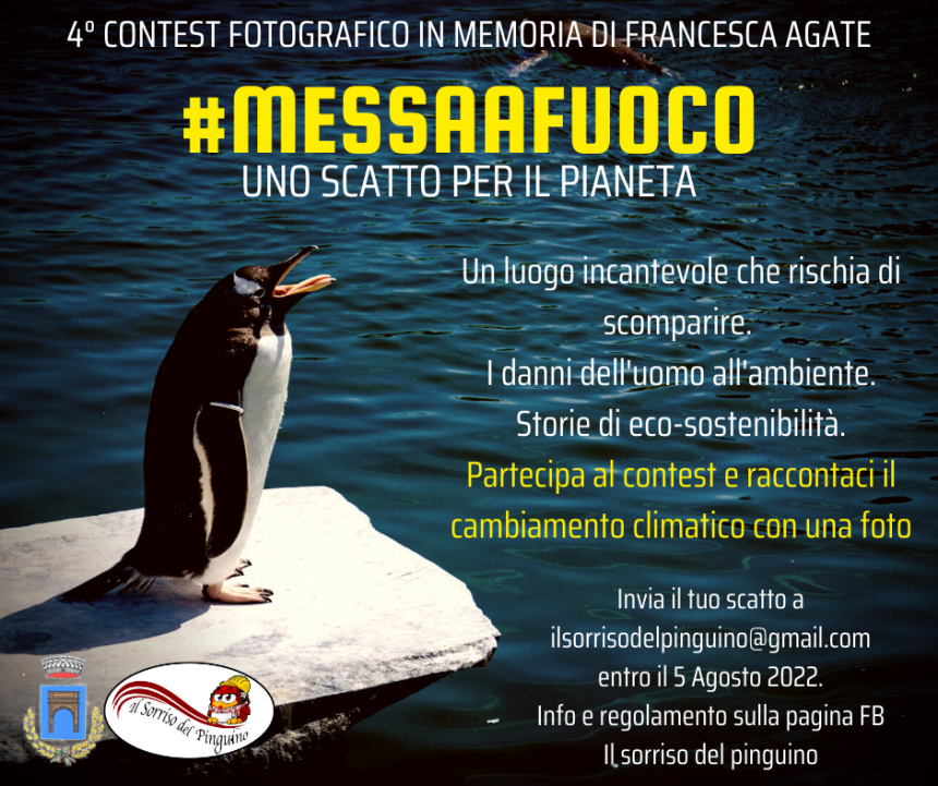 Uno scatto per il pianeta. Il sorriso del Pinguino di Petrosino lancia il contest fotografico #Messaafuoco