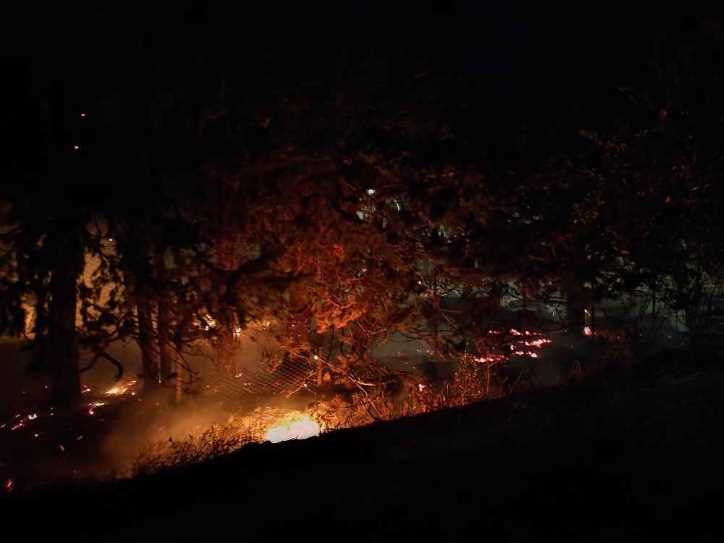 Quell’incendio che stava distruggendo gli alberi e la villa del notaio Lombardo a Misiliscemi in provincia di Trapani