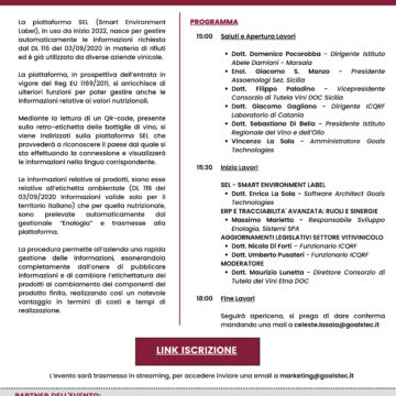 Aggiornamenti legislativi nel settore vitivinicolo e soluzioni operative per la gestione: domani il meeting promosso da Assoenologi Sicilia