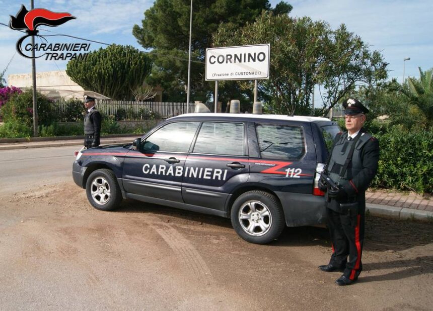 CUSTONACI : DUE ARRESTI DEI CARABINIERI