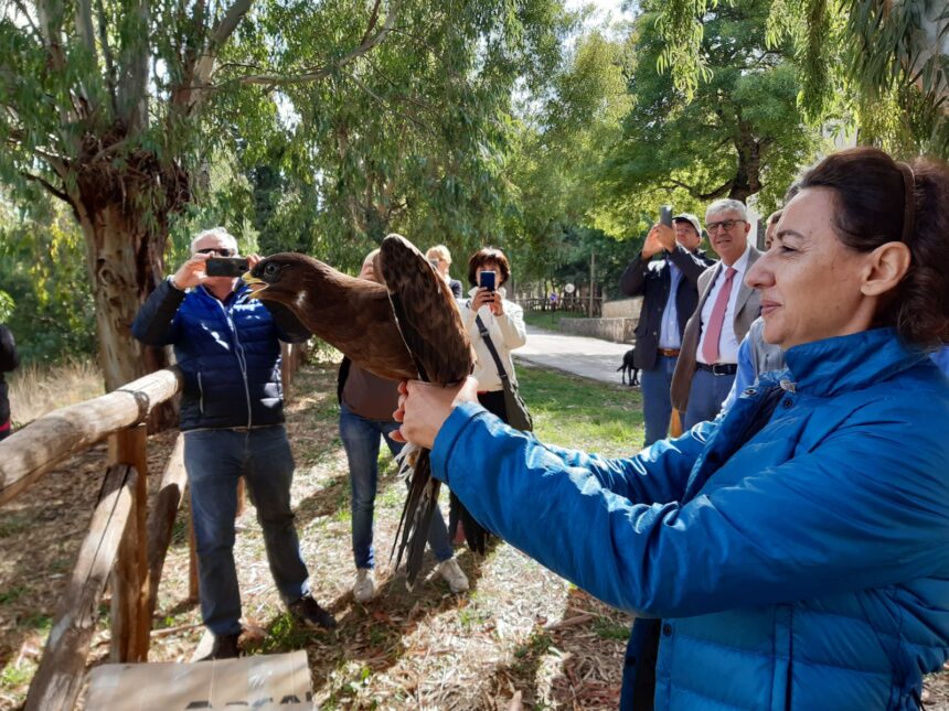 Giornata Fauna selvatica, Centro Ficuzza accoglie 2.400 animali. Sammartino: «Promuoviamo la biodiversità»