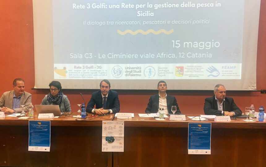 Pesca, presentati i primi dati del progetto “Rete 3 Golfi” finanziato dalla Regione
