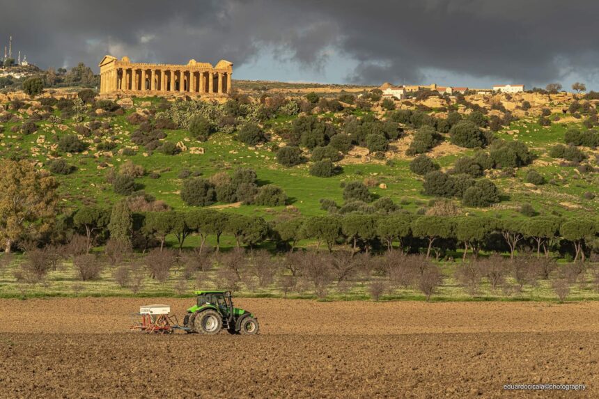 Esperienze di gusto alla Valle dei Templi | Apre Casa Barbadoro