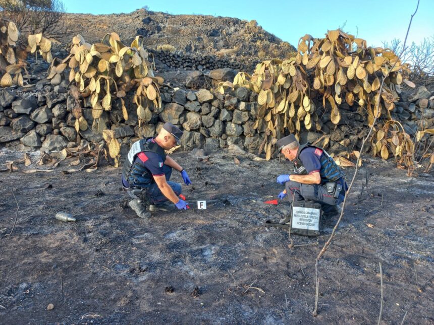 PANTELLERIA ,I CARABINIERI FORESTALI DEFERISCONO ALL’AUTORITÀ GIUDIZIARIA IL PRESUNTO RESPONSABILE DI UN INCENDIO BOSCHIVO SULL’ISOLA PANTELLERIA ,I CARABINIERI FORESTALI DEFERISCONO ALL’AUTORITÀ GIUDIZIARIA IL PRESUNTO RESPONSABILE DI UN INCENDIO BOSCHIVO SULL’ISOLA