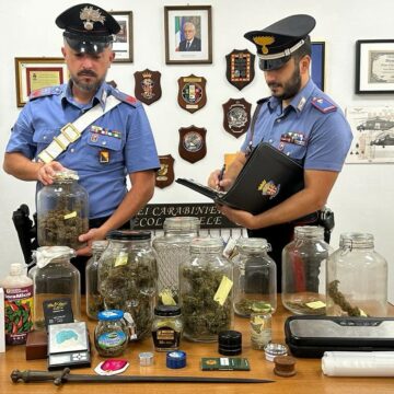 Monreale – nella cantina una serra per la coltivazione di marijuana: arrestato un 33enne