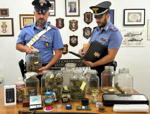 Monreale – nella cantina una serra per la coltivazione di marijuana: arrestato un 33enne