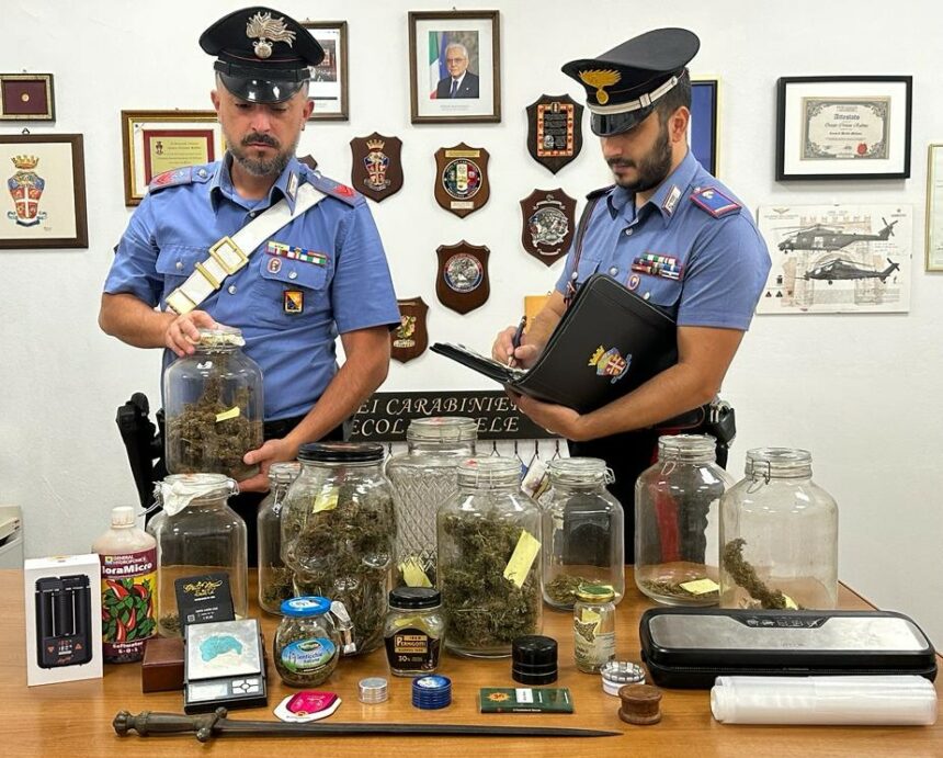 Monreale – nella cantina una serra per la coltivazione di marijuana: arrestato un 33enne