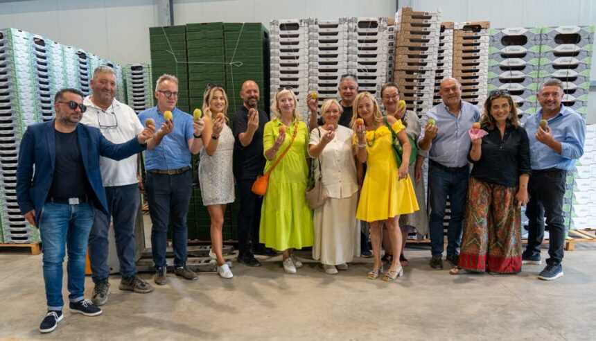 Agricoltura, la Sicilia sarà “Regione europea della gastronomia 2025”. Schifani: «Riconoscimento è frutto dell’impegno del governo»