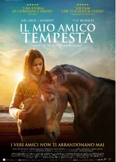 LA RINASCITA DOPO LA CADUTA. “IL MIO AMICO TEMPESTA”: IL FILM CHE INSEGNA A SUPERARE GLI OSTACOLI