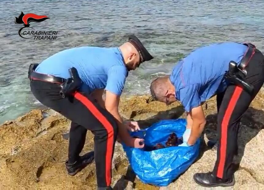 FAVIGNANA: OLTRE 150 RICCI DI MARE IN MACCHINA. DENUNCIATO FAVIGNANESE