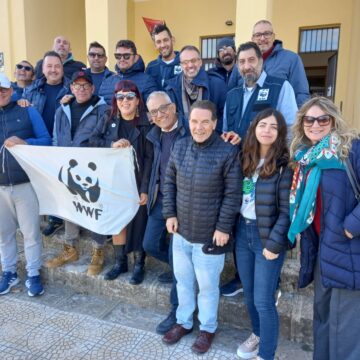 Nel 2023 il WWF in Sicilia ha seguito la nascita di 6000 tartarughe marine