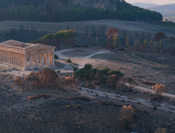 Parco archeologico di Segesta, 3 dicembre  prima domenica del mese a ingresso gratuito. Si piantano 150 roverelle per recuperare la macchia mediterranea. Si apre il nuovo Mercato degli Elymi