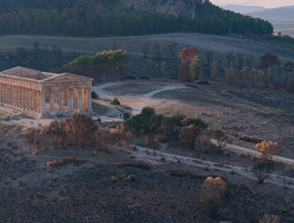 Parco archeologico di Segesta, 3 dicembre prima domenica del mese a ingresso gratuito. Si piantano 150 roverelle per recuperare la macchia mediterranea. Si apre il nuovo Mercato degli Elymi Parco archeologico di Segesta, 3 dicembre prima domenica del mese a ingresso gratuito. Si piantano 150 roverelle per recuperare la macchia mediterranea. Si apre il nuovo Mercato degli Elymi
