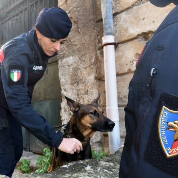 Palermo, vasta operazione antidroga