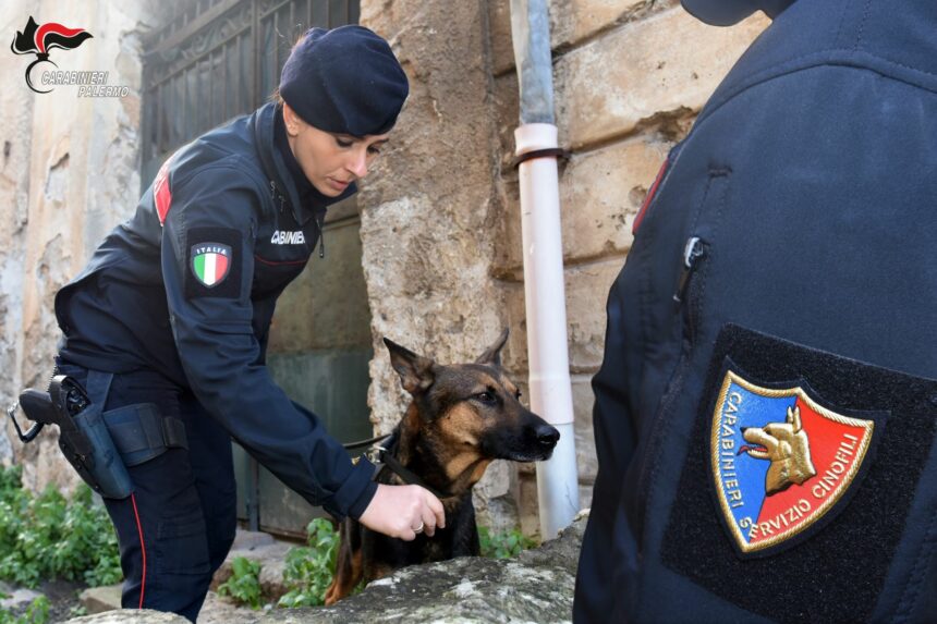 Palermo, vasta operazione antidroga