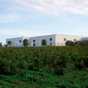 Il percorso green di Pellegrino