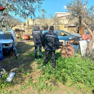 Trapani e Marsala: abbandonano rifiuti speciali nei terreni. Denunciate 2 persone