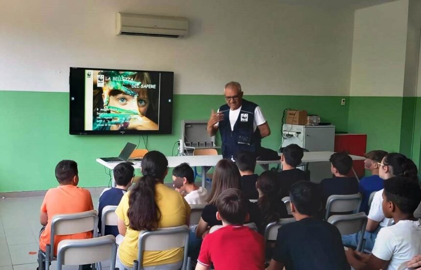 Il WWF chiede collaborazione per il Progetto Tartarughe