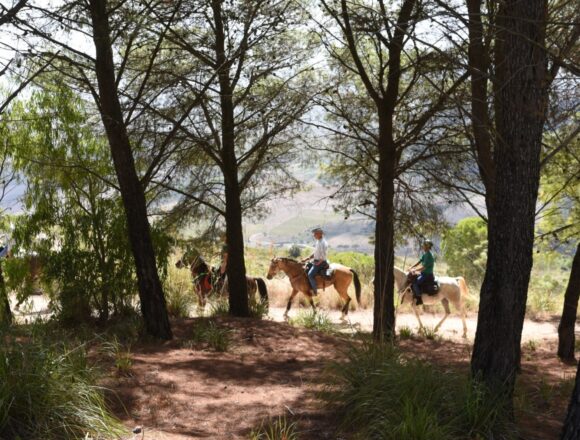 La terza edizione del Raduno Equestre alla scoperta del Parco Archeologico di Segesta, dei boschi e dei luoghi storici della Provincia di Trapani La terza edizione del Raduno Equestre alla scoperta del Parco Archeologico di Segesta, dei boschi e dei luoghi storici della Provincia di Trapani